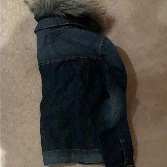 Fur collar denim jacket - Picture 4 of 5